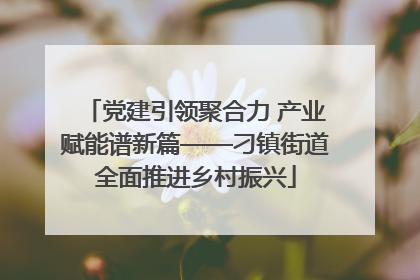 党建引领聚合力 产业赋能谱新篇——刁镇街道全面推进乡村振兴