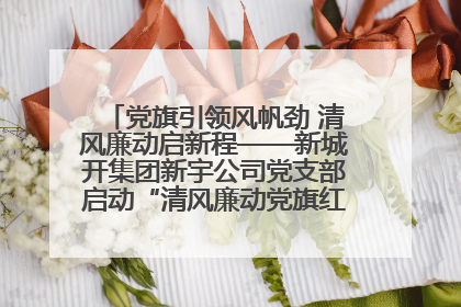 党旗引领风帆劲 清风廉动启新程——新城开集团新宇公司党支部启动“清风廉动党旗红”系列活动