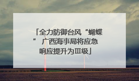 全力防御台风“蝴蝶” 广西海事局将应急响应提升为Ⅲ级