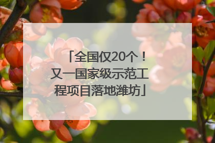 全国仅20个！又一国家级示范工程项目落地潍坊