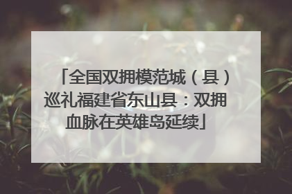全国双拥模范城（县）巡礼福建省东山县：双拥血脉在英雄岛延续
