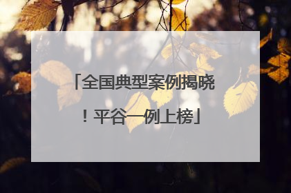 全国典型案例揭晓！平谷一例上榜