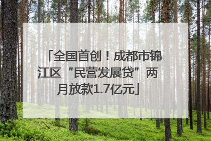全国首创！成都市锦江区“民营发展贷”两月放款1.7亿元