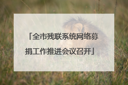全市残联系统网络募捐工作推进会议召开