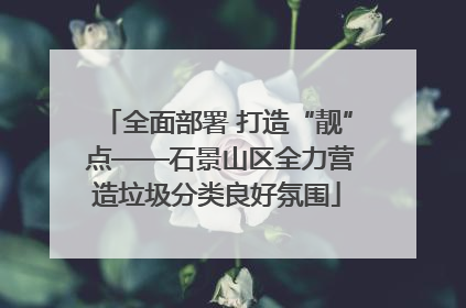 全面部署 打造“靓” 点——石景山区全力营造垃圾分类良好氛围