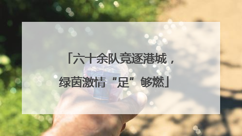 六十余队竞逐港城，绿茵激情“足”够燃