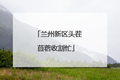 兰州新区头茬苜蓿收割忙