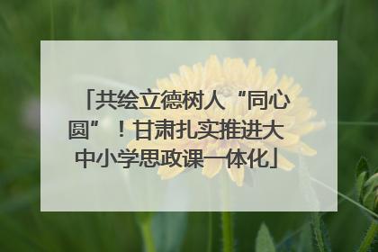 共绘立德树人“同心圆”！甘肃扎实推进大中小学思政课一体化