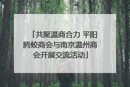 共聚温商合力 平阳腾蛟商会与南京温州商会开展交流活动