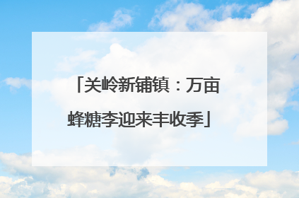 关岭新铺镇：万亩蜂糖李迎来丰收季