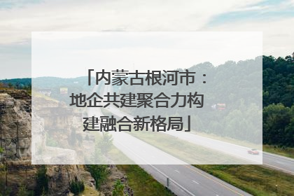 内蒙古根河市：地企共建聚合力构建融合新格局