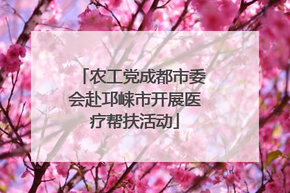 农工党成都市委会赴邛崃市开展医疗帮扶活动