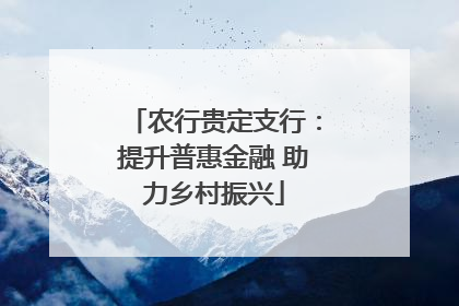 农行贵定支行：提升普惠金融 助力乡村振兴