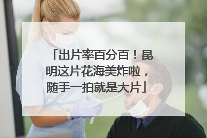 出片率百分百！昆明这片花海美炸啦，随手一拍就是大片