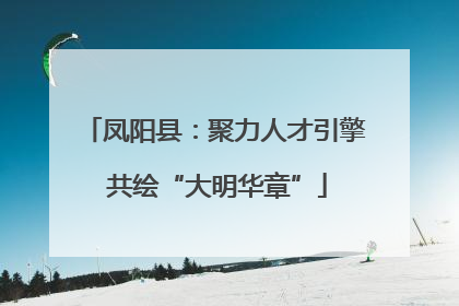 凤阳县：聚力人才引擎 共绘“大明华章”