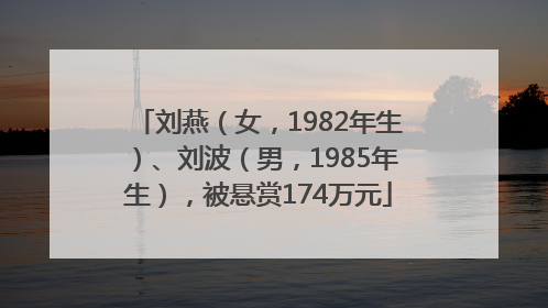 刘燕（女，1982年生）、刘波（男，1985年生），被悬赏174万元