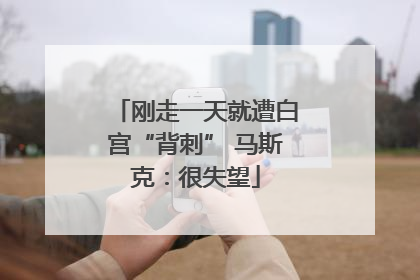 刚走一天就遭白宫“背刺” 马斯克：很失望