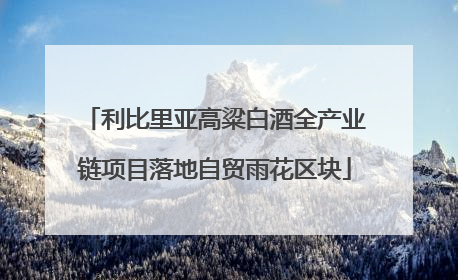 利比里亚高粱白酒全产业链项目落地自贸雨花区块