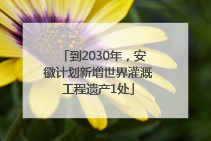 到2030年，安徽计划新增世界灌溉工程遗产1处