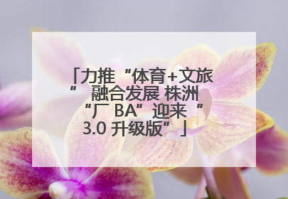 力推“体育+文旅” 融合发展 株洲“厂 BA”迎来“3.0 升级版”