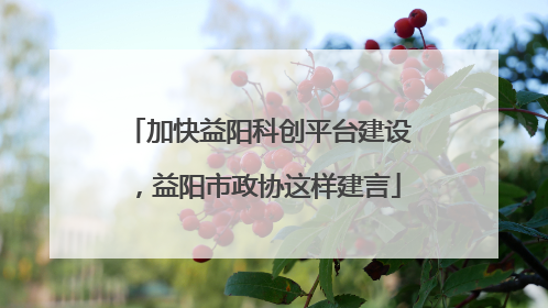 加快益阳科创平台建设，益阳市政协这样建言
