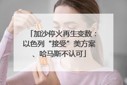 加沙停火再生变数：以色列“接受”美方案、哈马斯不认可