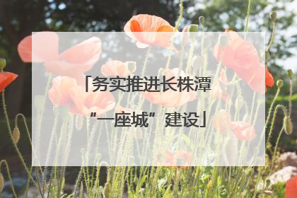 务实推进长株潭“一座城”建设