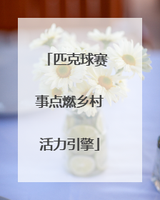 匹克球赛事点燃乡村活力引擎