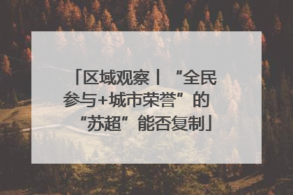 区域观察丨“全民参与+城市荣誉”的“苏超”能否复制