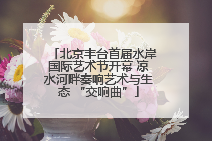 北京丰台首届水岸国际艺术节开幕 凉水河畔奏响艺术与生态 “交响曲”
