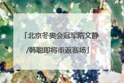 北京冬奥会冠军隋文静/韩聪即将重返赛场