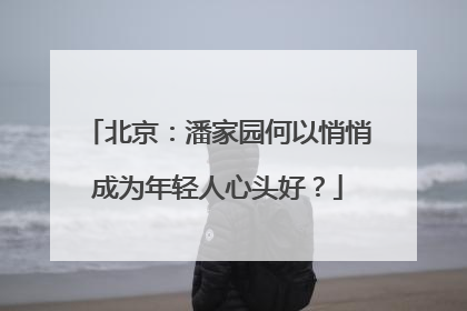 北京：潘家园何以悄悄成为年轻人心头好？