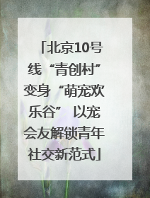 北京10号线“青创村”变身“萌宠欢乐谷” 以宠会友解锁青年社交新范式