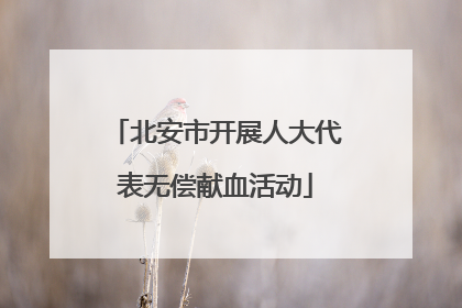 北安市开展人大代表无偿献血活动