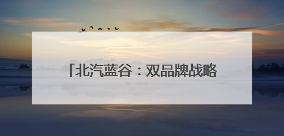 北汽蓝谷：双品牌战略领航，开启发展新征程