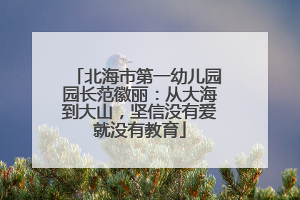 北海市第一幼儿园园长范徽丽：从大海到大山，坚信没有爱就没有教育