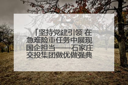 坚持党建引领 在急难险重任务中展现国企担当——石家庄交投集团做优做强典型报道之一