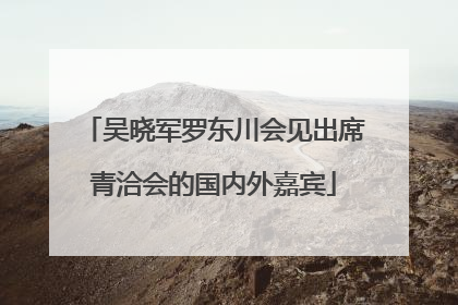 吴晓军罗东川会见出席青洽会的国内外嘉宾