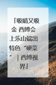 吸睛又吸金 西博会上乐山端出特色“硬菜”｜西博视界