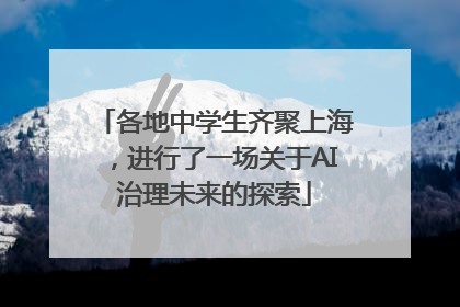 各地中学生齐聚上海，进行了一场关于AI治理未来的探索