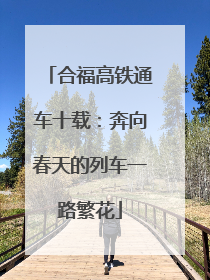合福高铁通车十载：奔向春天的列车一路繁花