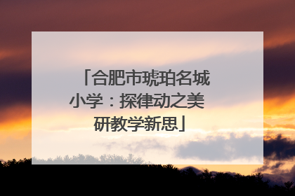 合肥市琥珀名城小学：探律动之美 研教学新思