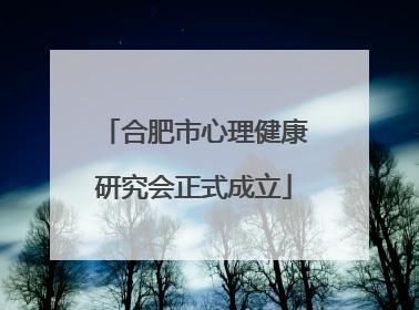 合肥市心理健康研究会正式成立