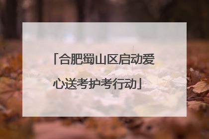 合肥蜀山区启动爱心送考护考行动