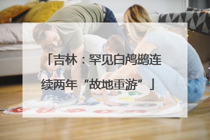 吉林：罕见白鸬鹚连续两年“故地重游”