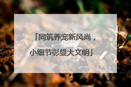 同筑养宠新风尚，小细节彰显大文明