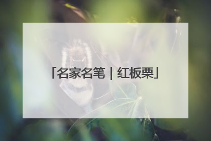 名家名笔｜红板栗