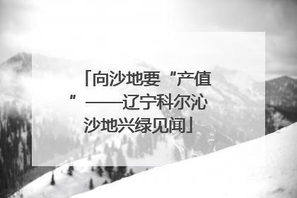 向沙地要“产值”——辽宁科尔沁沙地兴绿见闻