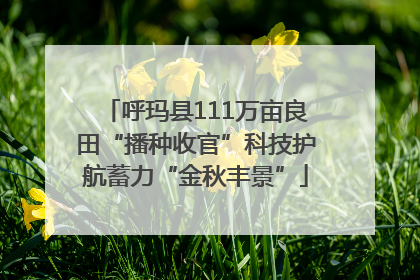 呼玛县111万亩良田“播种收官”科技护航蓄力“金秋丰景”