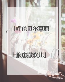呼伦贝尔草原上狼崽撒欢儿